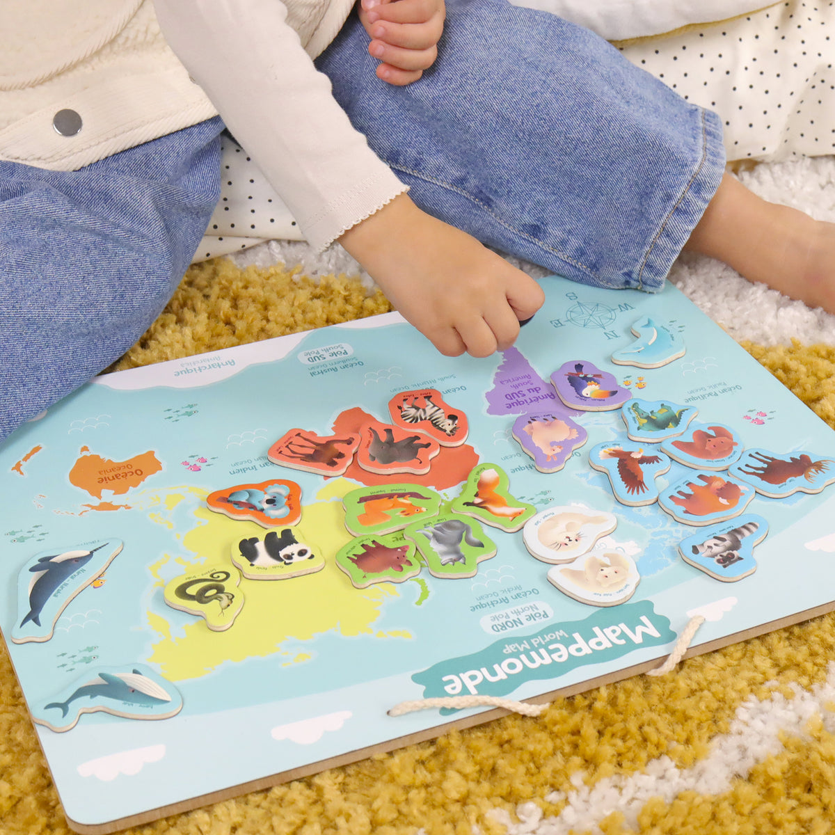Ma première Mappemonde JADE